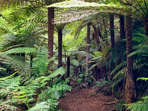 unbenannte Fotosession 20131222 1090